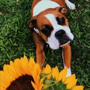 Meet your Posher, Kailee